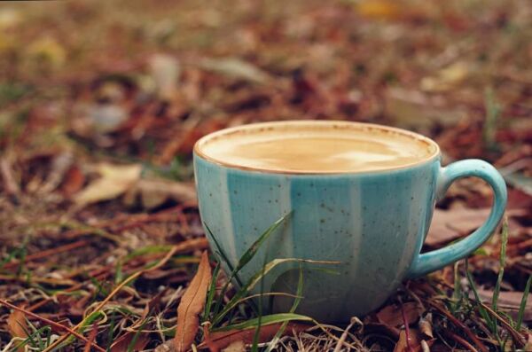 Bonna Porselen Aqua Rita Türk Kahve Fincanı 80 cc 6'lı