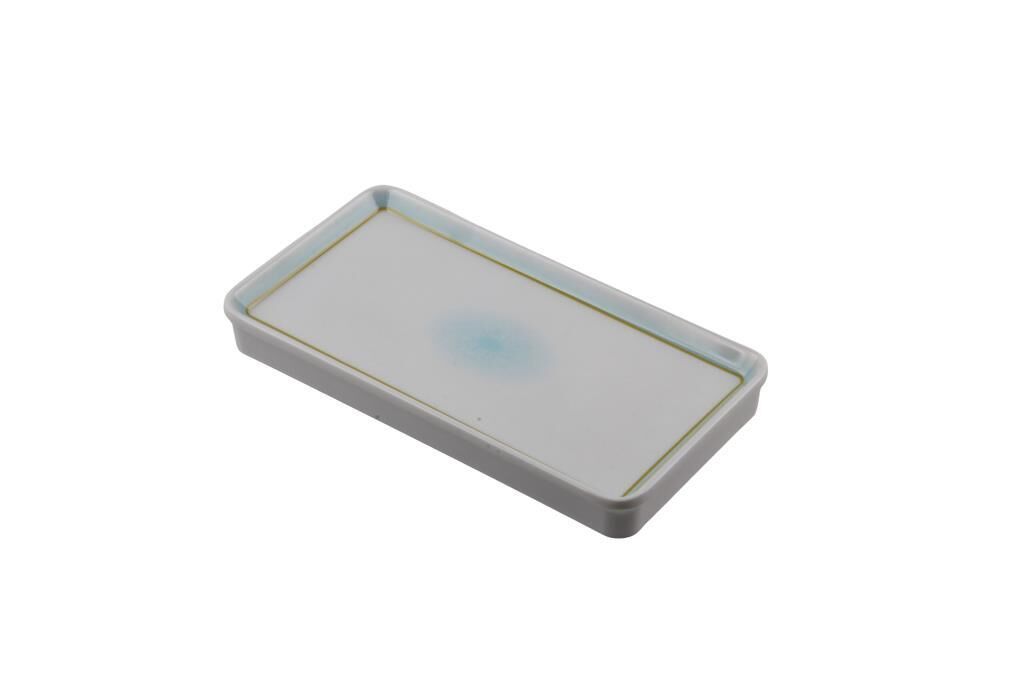 Globy Dikdörtgen Sunum Tabak 25,5×13,5×3 cm