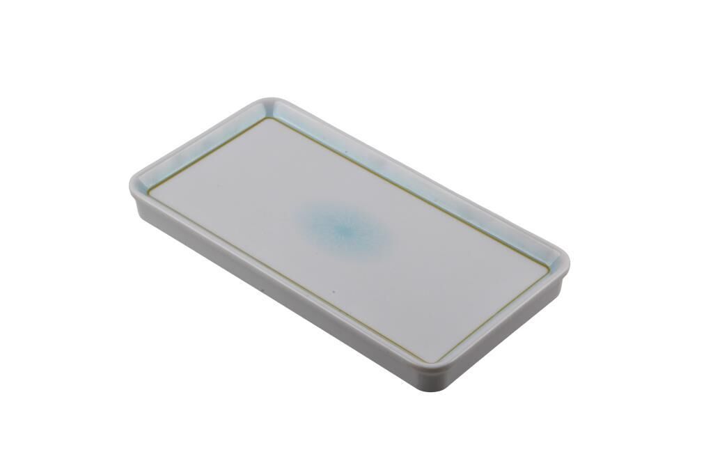 Globy Dikdörtgen Sunum Tabak 30,5×16,2×2,9 cm