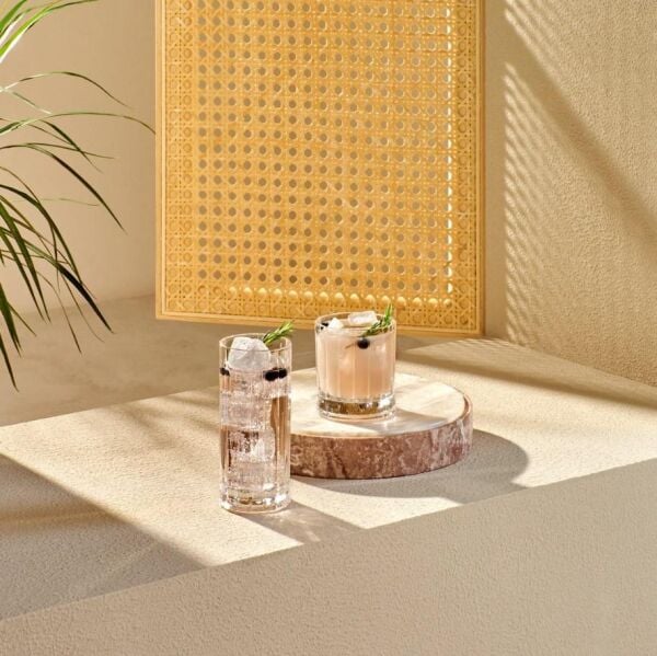 Paşabahçe 68164 Nude Wayne Uzun Kokteyl Bardağı 250 cc 6 'lı