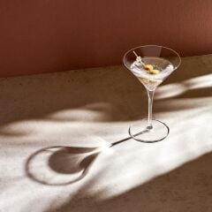 Paşabahçe 66114 Nude Vintage Martini Bardağı 290 cc 6'lı