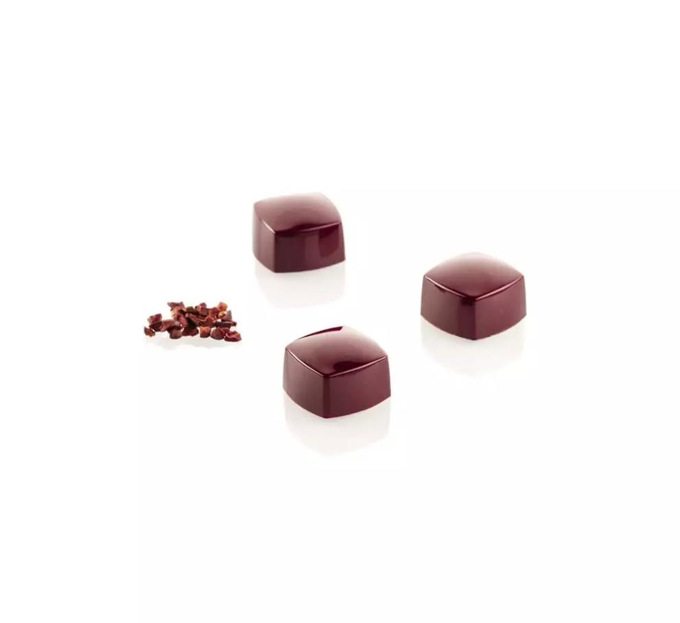 Silikomart Kubbe-P Kek Kalıbı (Cupola-P Tritan)