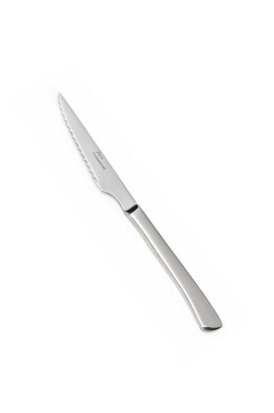 Zicco ZB-01 Çelik Saplı Steak Bıçağı - Et Bıçağı, 22 cm