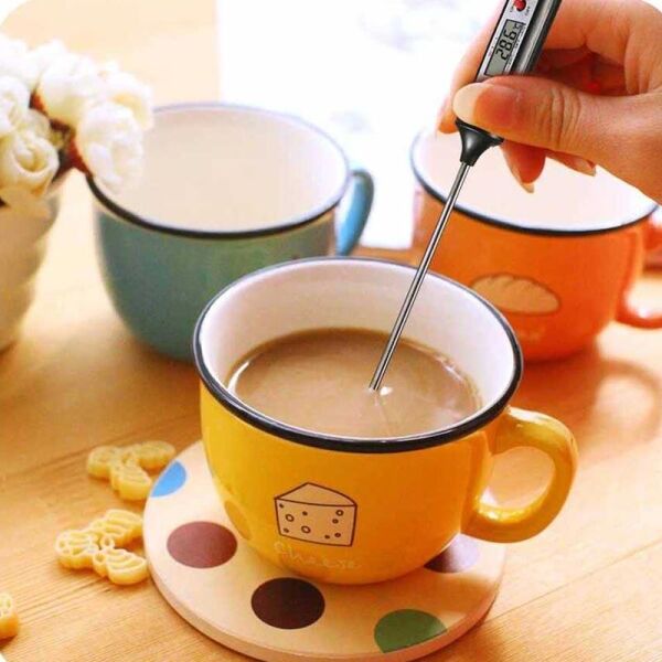 Epinox DT-01 Dijital Termometre