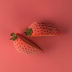 Silikomart Fragola120 Çilek Silikon Kek Kalıbı 5'li