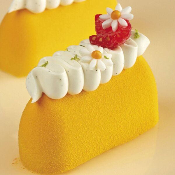 Globy Profesyonel Silikon Oval Dikdörtgen Tatlı,Kek Kalıbı 40'lı