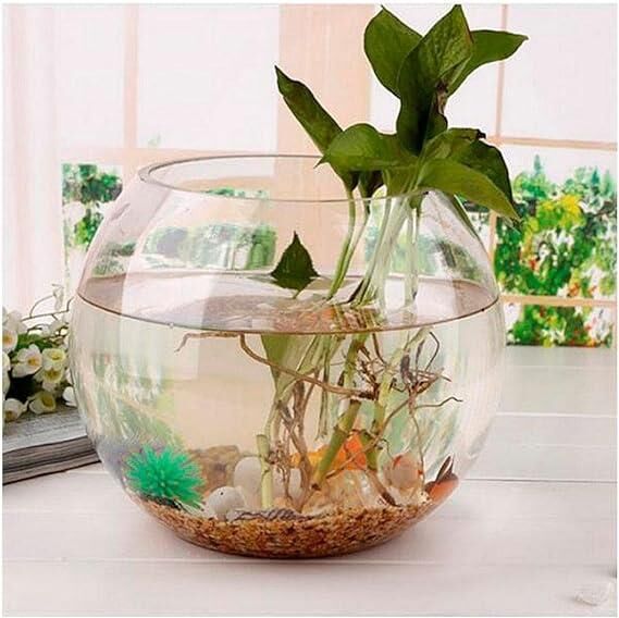 Paşabahçe 43417 Botanica Vazo  825 ml