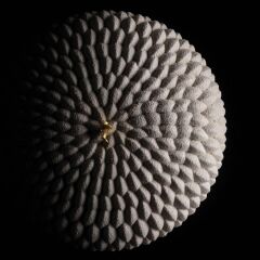 Silikomart HONORE Silikon Kek Kalıbı