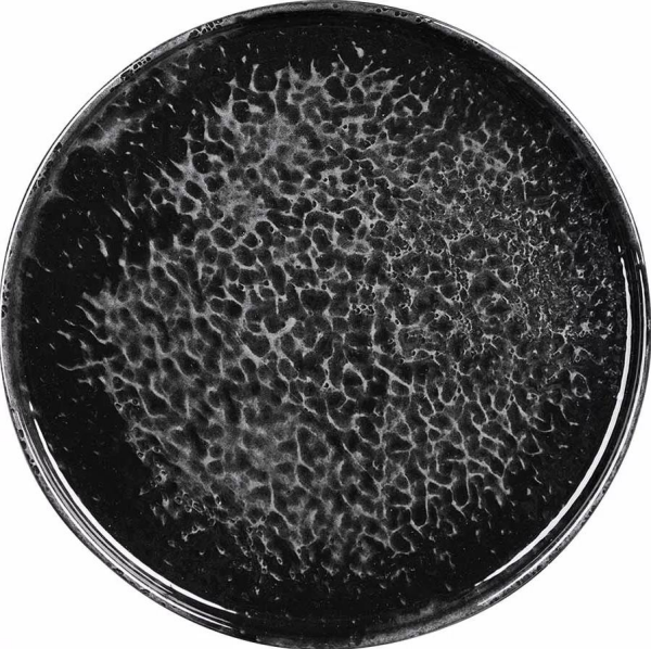 Kütahya Porselen Corendon Manyetit  Düz Tabak 28 cm 6’lı